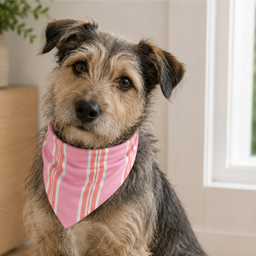 Dog wearing a custom pet bandana