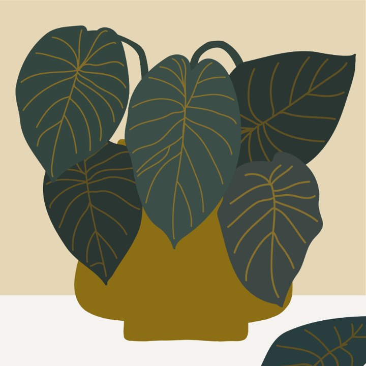 New artwork — botanical leaves print