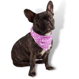 Pet Bandanas